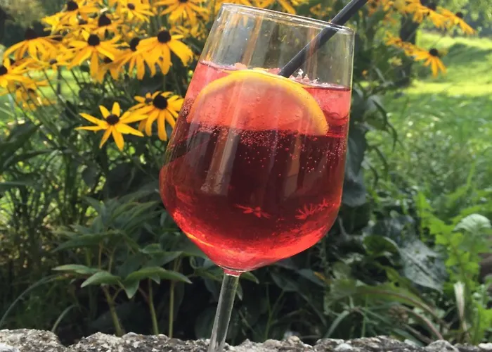 Harmonie Stueberl Han/Misafirhane